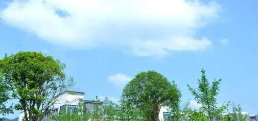 重庆商务职业学院