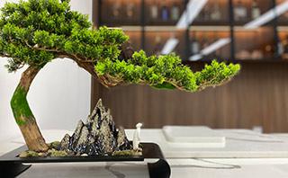 苏州三千念口才培训