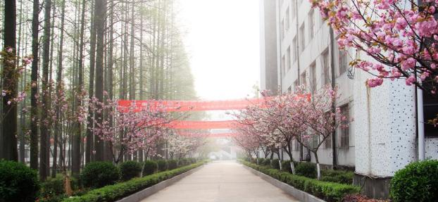 江汉艺术职业学院五年制2020年招生代码