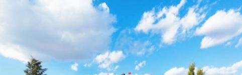 大同县职业学校