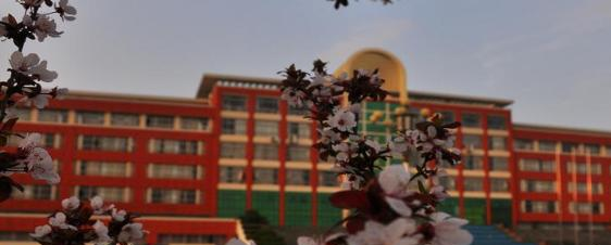 安徽新闻出版职业技术学院