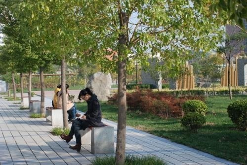 洛阳市第二外国语学校国际部