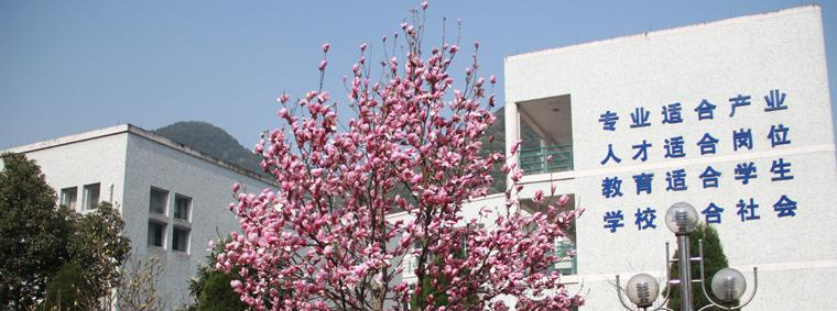 富阳学院