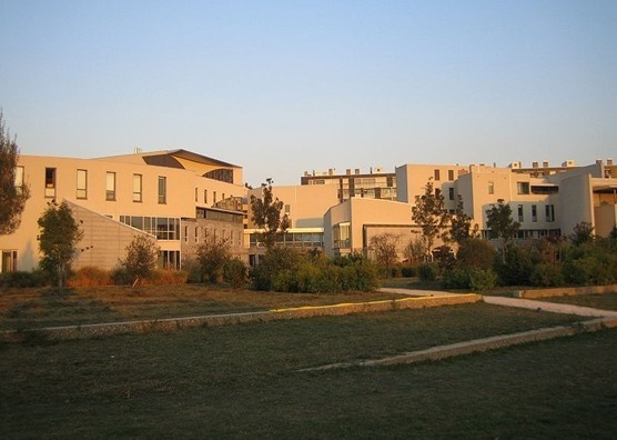 里昂高等师范学校