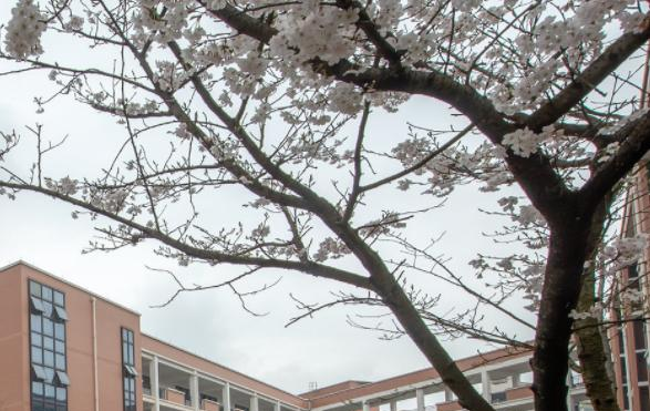 建德新安江职业学校
