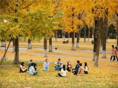 成都电子科技大学OSSD国际课程