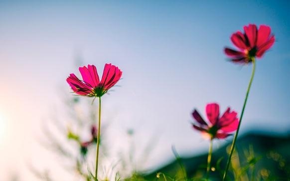 雅思口语跳舞话题