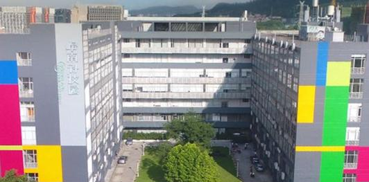 广东岭南职业技术学院2020年报名条件、招生要求、招生对象