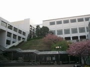 国学院大学
