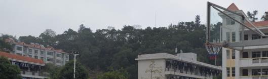 广西右江民族商业学校网站 