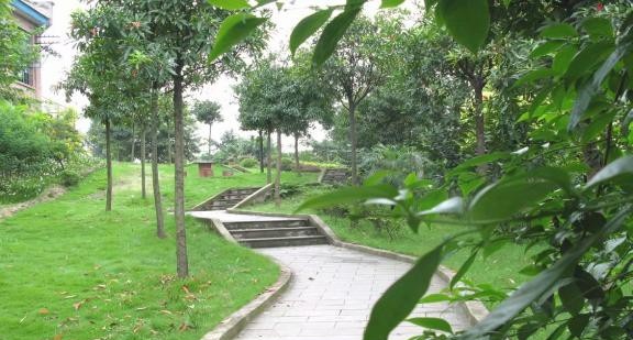 重庆市开县巨龙中等职业技术学校怎么样、好不好