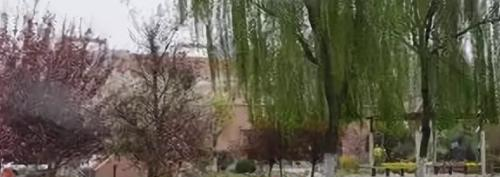 陕西医科学校网站