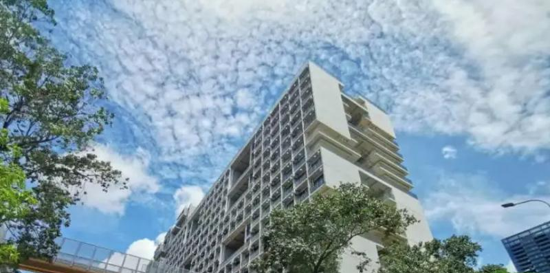 深圳深美国际学校靠谱吗2