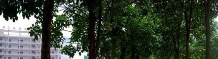 重庆工贸职业技术学院五年制大专地址在哪里