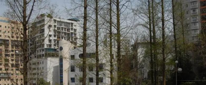 截图_20211116125615