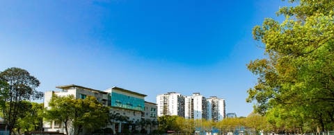 四川化工职业技术学院网站