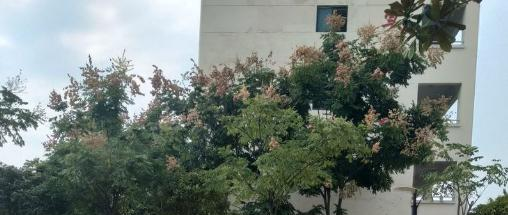 安福职业中学怎么样、好不好