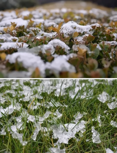 上海铭远国际高中雪景