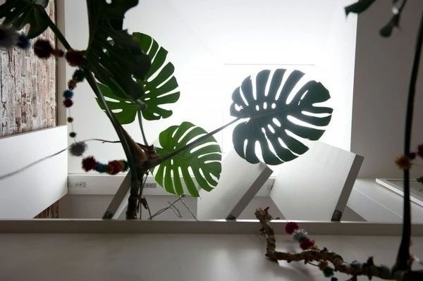 合肥展览展示设计培训 合肥展览展示设计培训