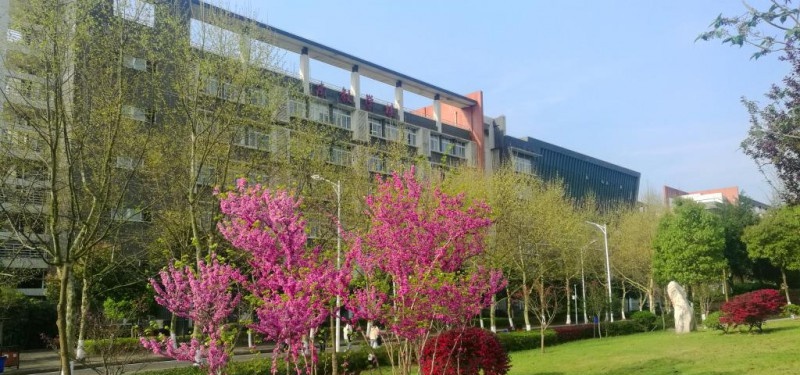 重庆医药高等专科学校网站