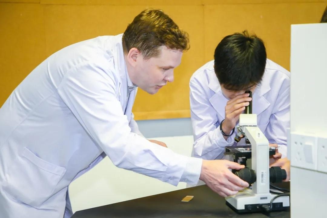 上海诺美学校