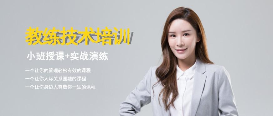教练技术培训