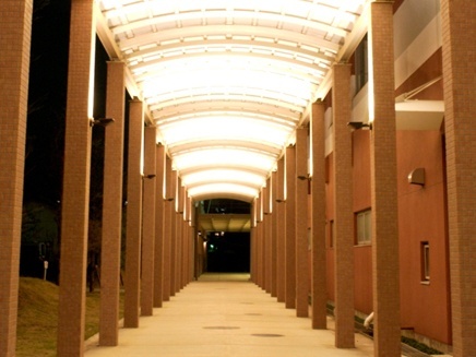 千叶经济大学