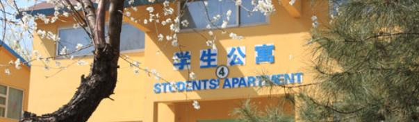 北京私立树人瑞贝学校高中部