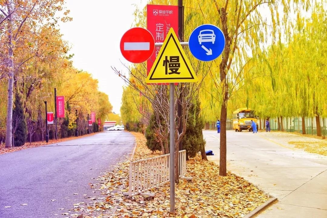穿过雾霾 ，我们帮你留住了北京爱迪学校最美的秋景
