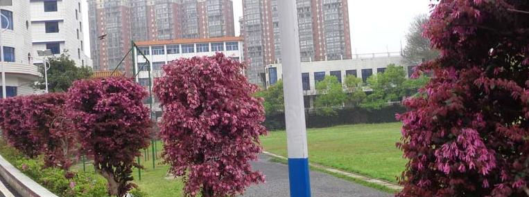 截图20200109085556