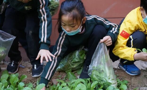 北京市私立汇佳学校