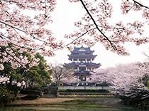 日语应试技巧