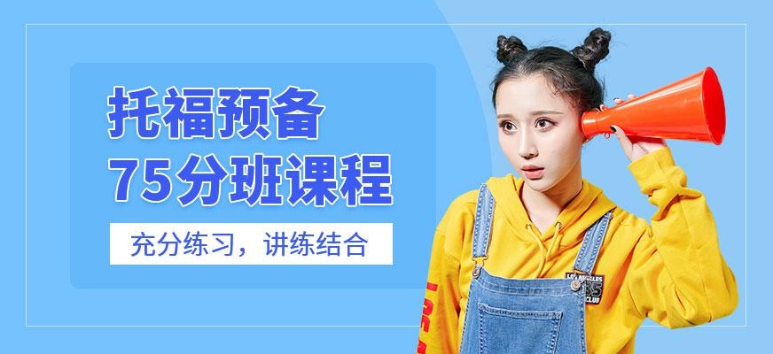 武汉托福预备白金班