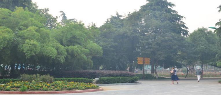 南阳第二中等职业学校2021年报名条件、招生要求、招生对象