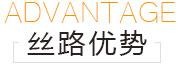 丝路优势