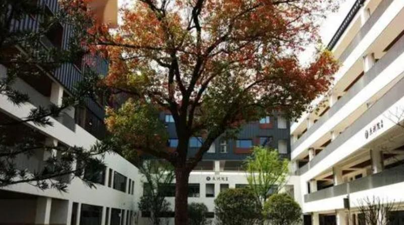 2023苏州大学附属中学招生计划 招生人数是多少(附要求、条件、对象)