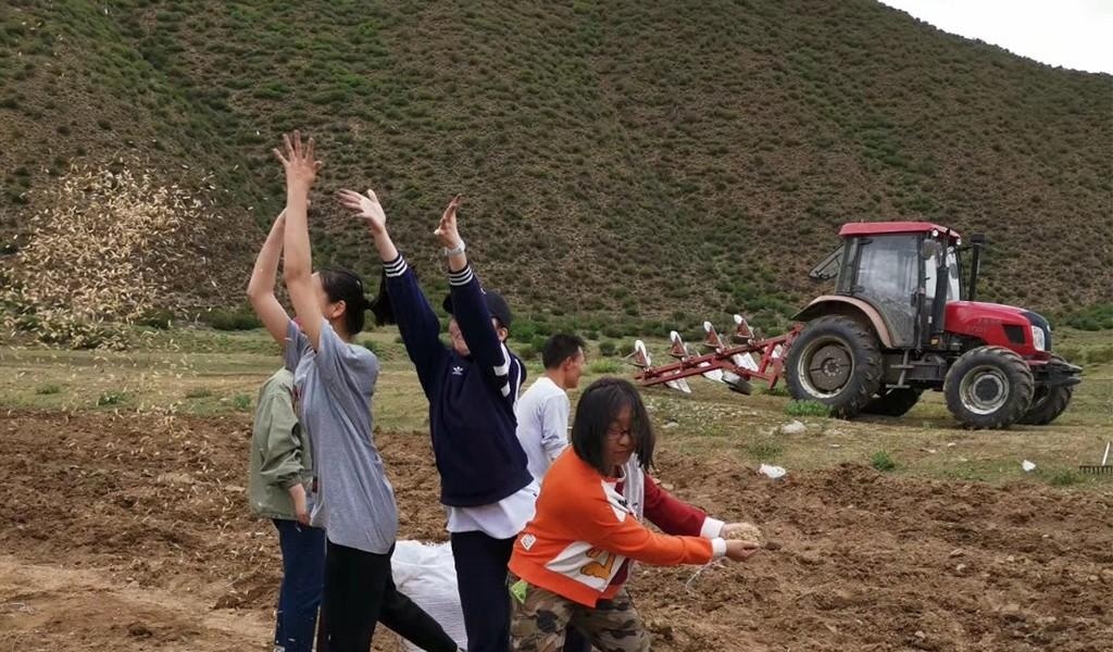 学生体验农活.jpg
