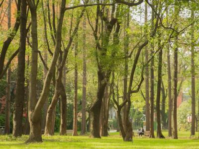 上海应用技术大学国际教育中心国际本硕课程(英美澳方向)
