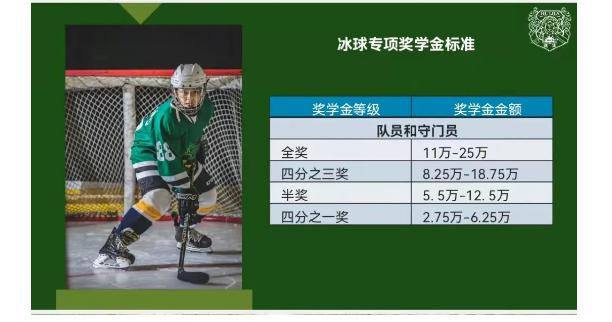 汇佳学校