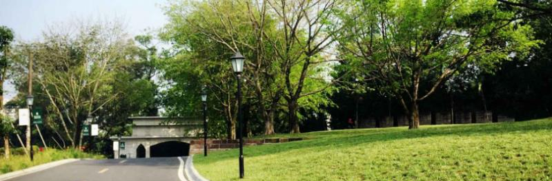 成都墨尔文学校