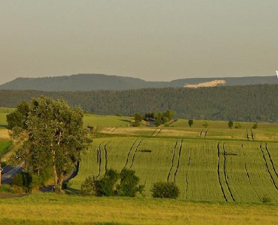 罗滕堡林业经济学院
