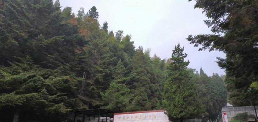 井冈山应用科技学校