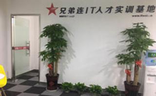 苏州兄弟连教育