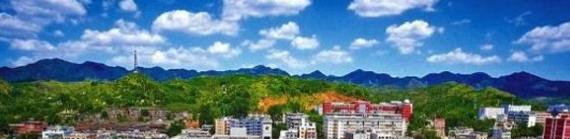商洛山阳中学2020年报名条件、招生要求、招生对象