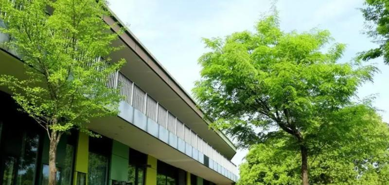 杭州育澜剑桥国际中心2022年招生政策