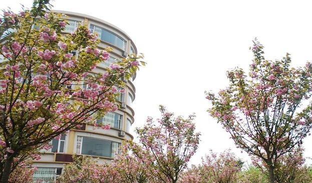 重庆交通职业学院怎么样、好不好