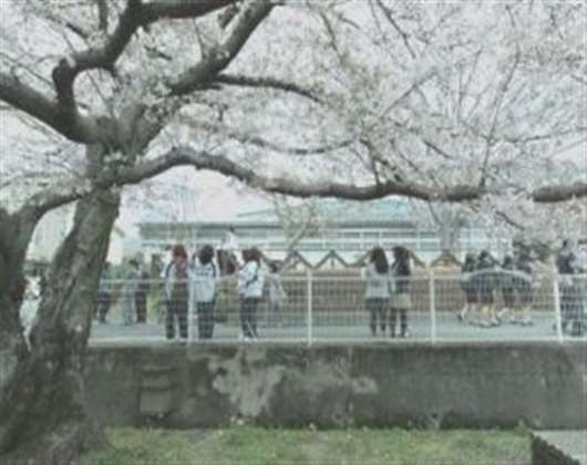 山口县立大学