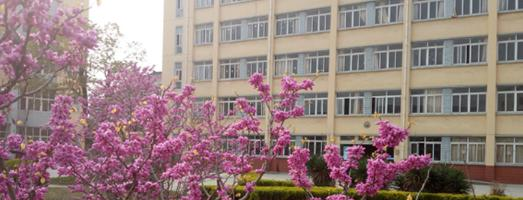 安徽绿海商务职业学院