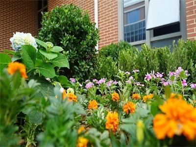 青岛圣大公学