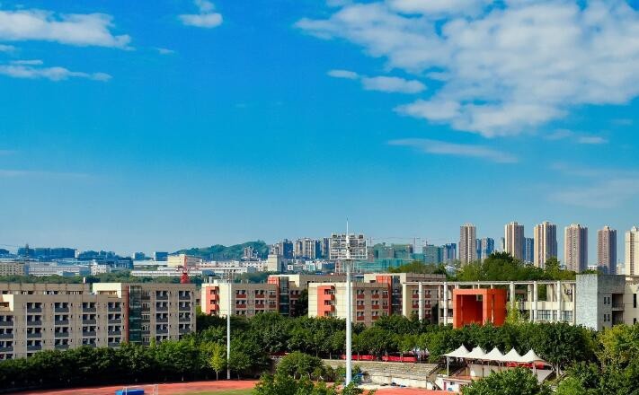 重庆工业职业技术学院2020年招生代码